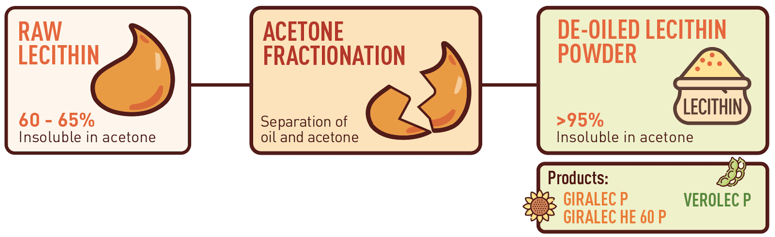 DE-OILED LECITHINS FROM LASENOR: INNOVATION AND QUALITY FOR THE FOOD INDUSTRY 3