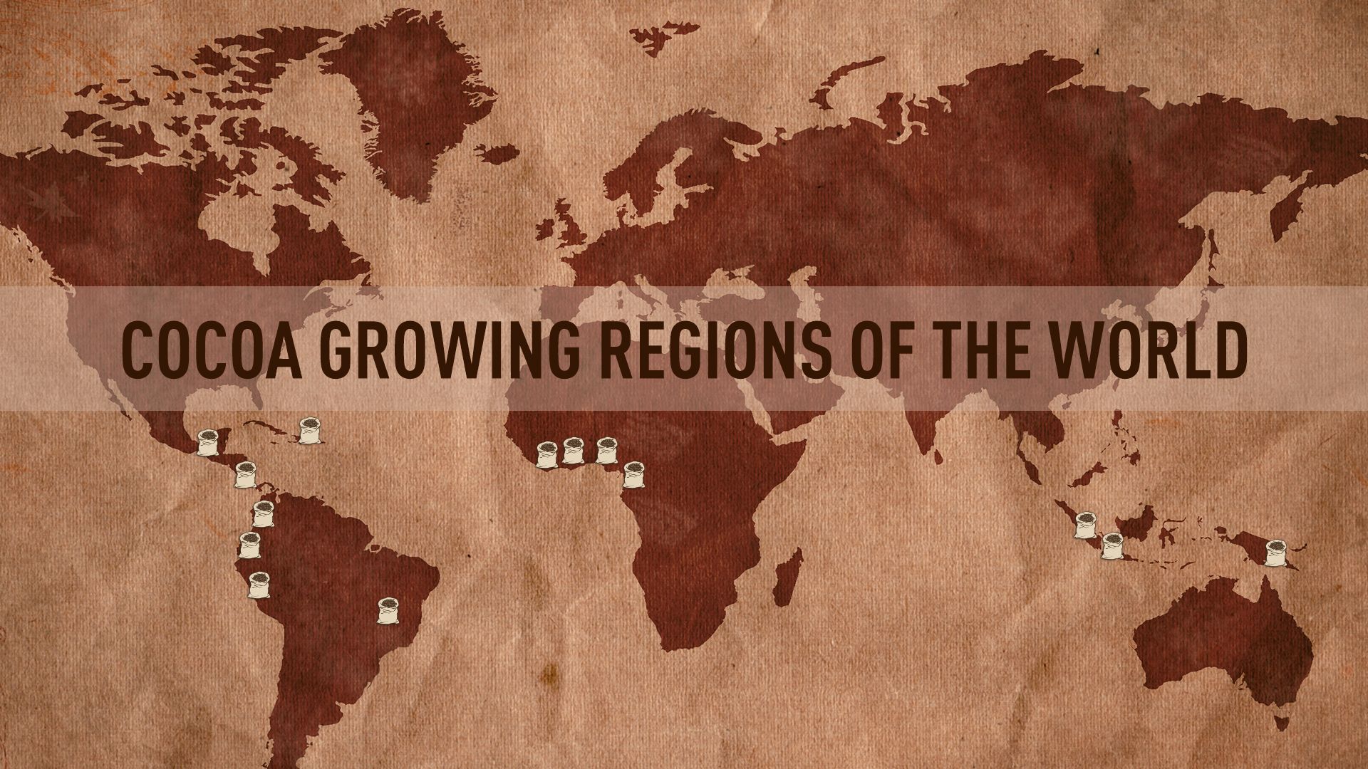 CELEBRATING CHOCOLATE: Lasenor's role in sustainable chocolate production on International Chocolate Day 3