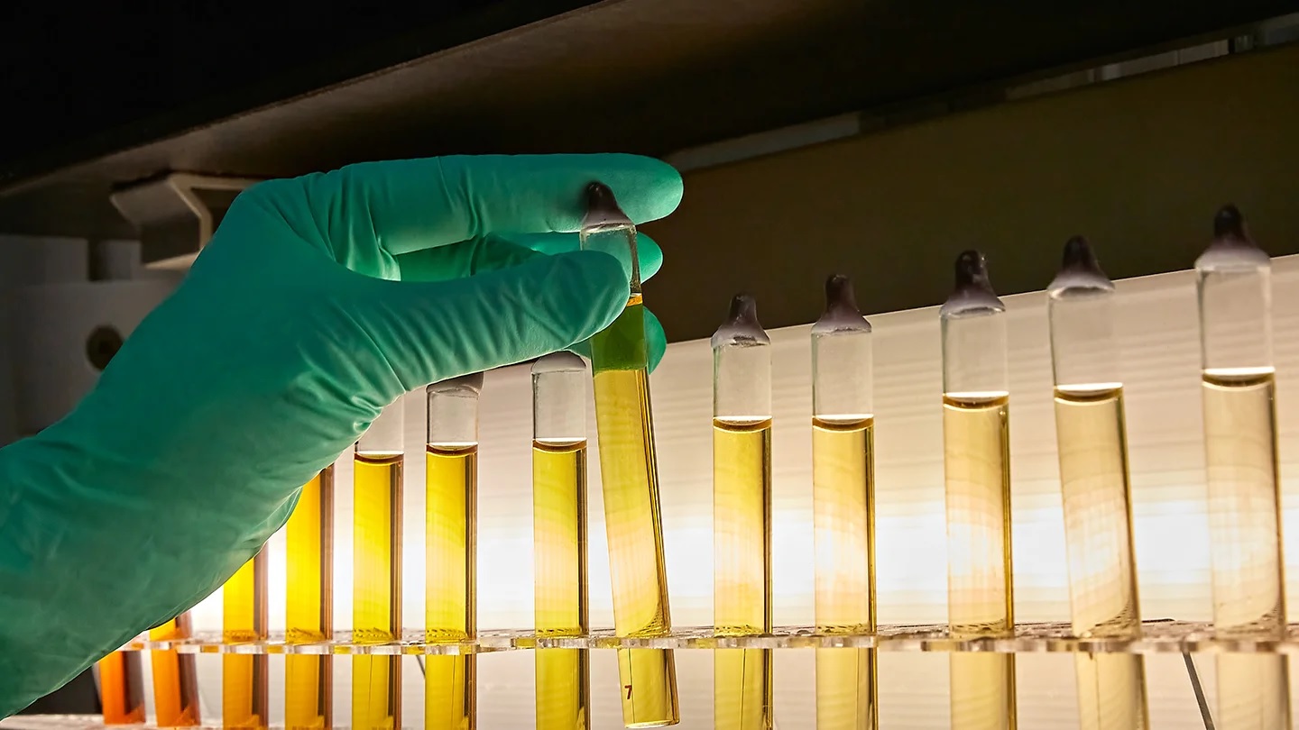 DE-OILED LECITHINS FROM LASENOR: INNOVATION AND QUALITY FOR THE FOOD INDUSTRY