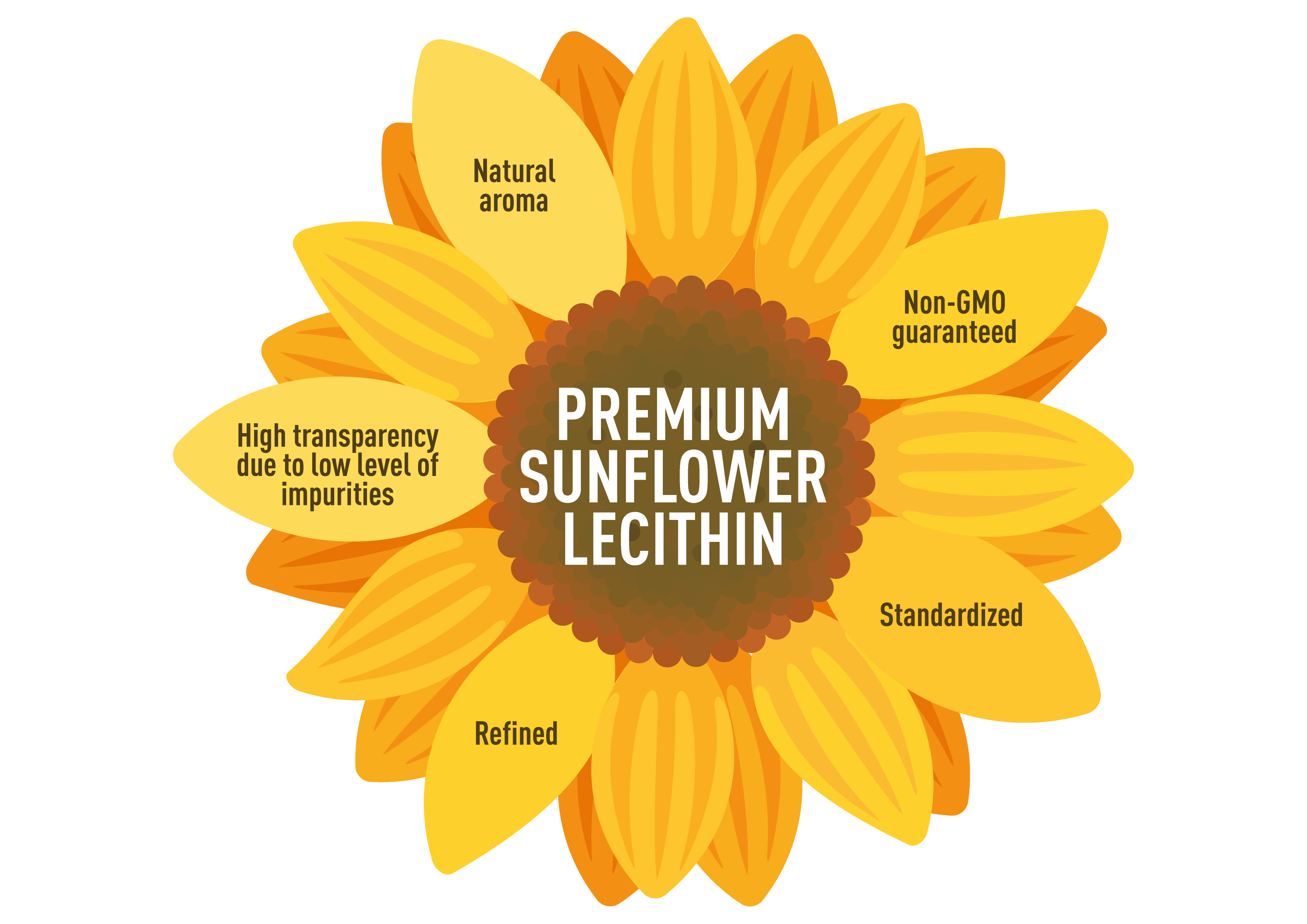 Innovating with Lecithin for superior Release Agents
