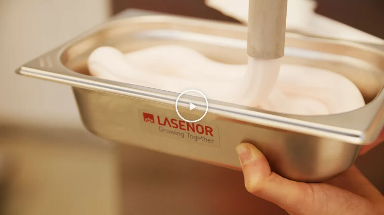 Texturizing Plant Protein for Bakery