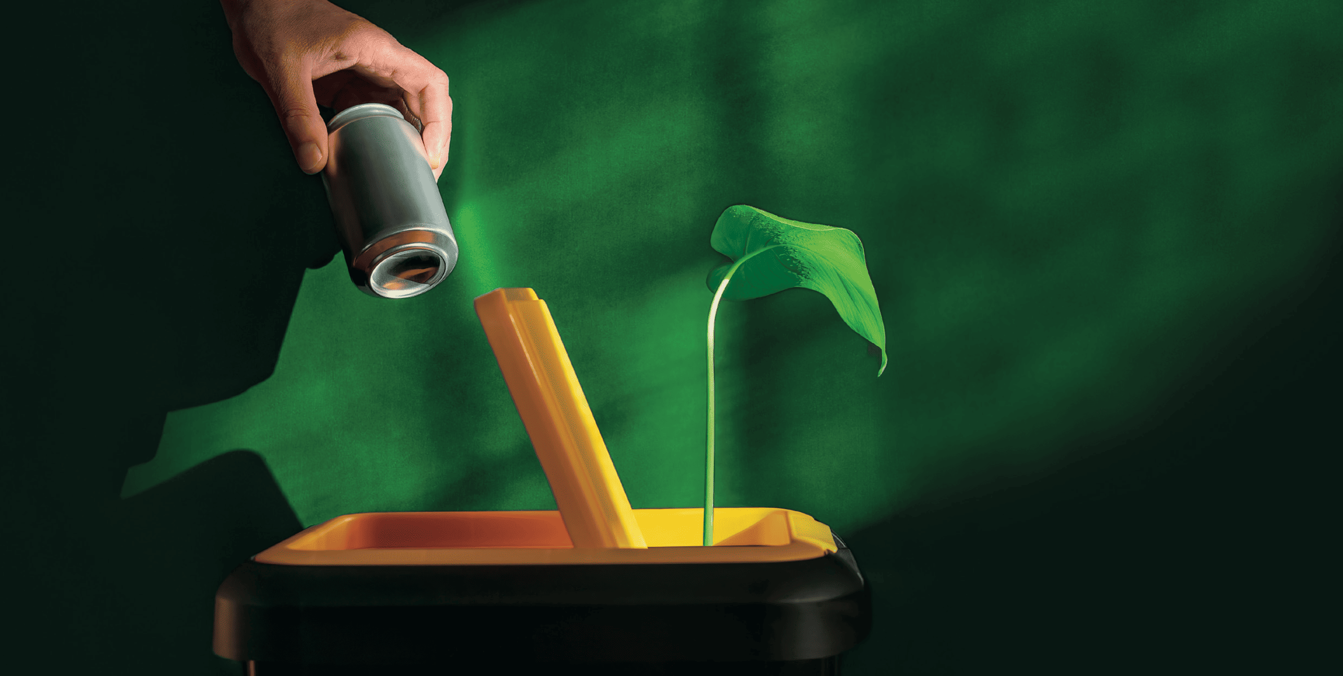 Driving sustainable change