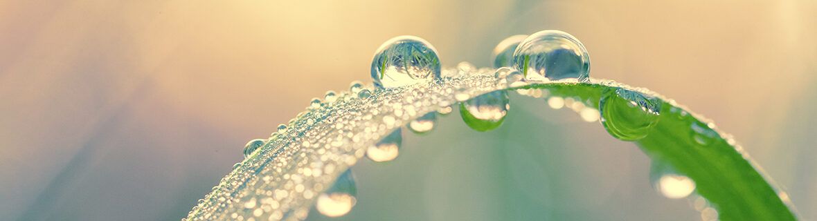 Driving sustainable change