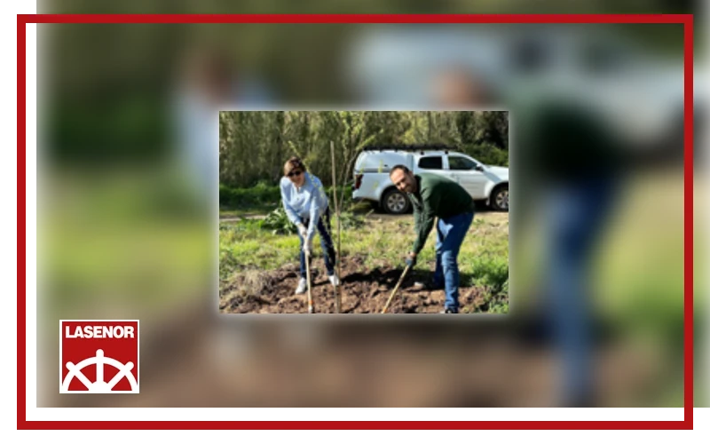 Tree planting initiative in Olesa de Montserrat