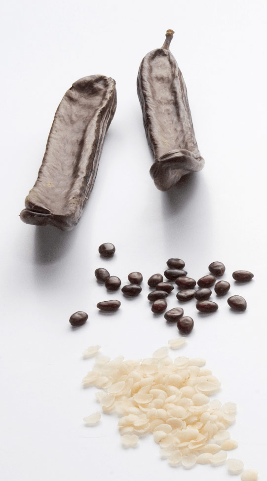 LOCUST BEAN GUM